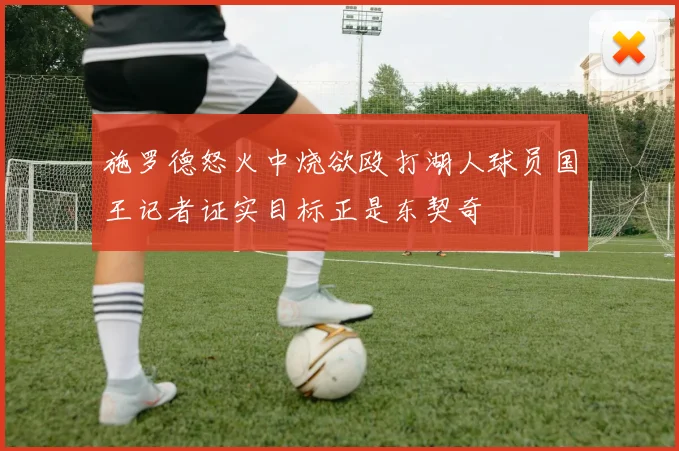 施罗德怒火中烧欲殴打湖人球员国王记者证实目标正是东契奇