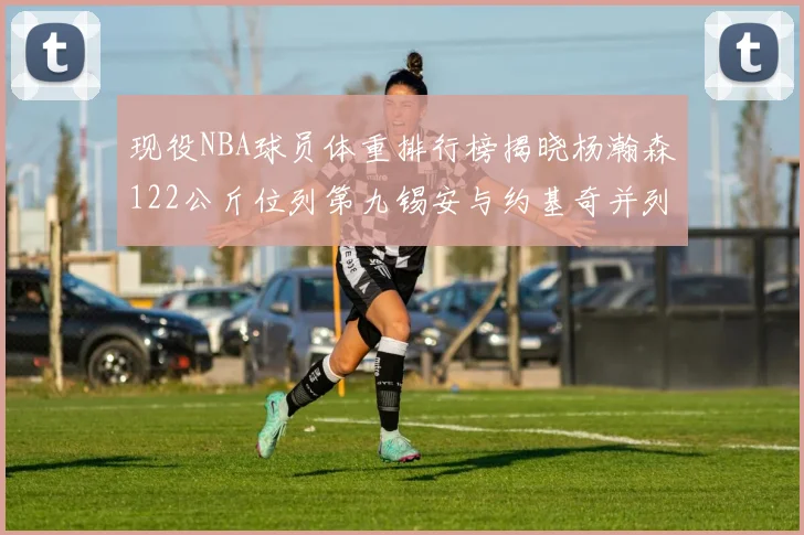 现役NBA球员体重排行榜揭晓杨瀚森122公斤位列第九锡安与约基奇并列第三
