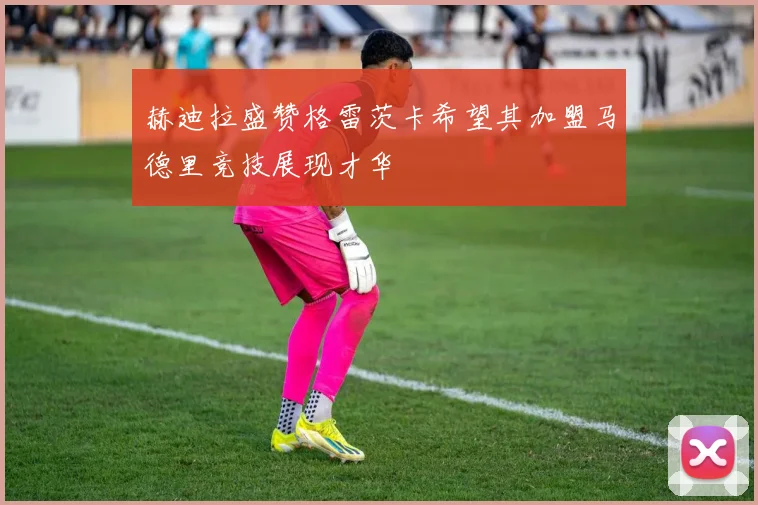 赫迪拉盛赞格雷茨卡希望其加盟马德里竞技展现才华