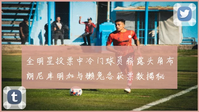 全明星投票中冷门球员崭露头角布朗尼库明加与獭兔各获票数揭秘