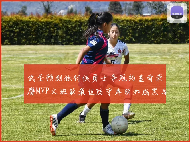 武圣预测独行侠勇士争冠约基奇荣膺MVP文班获最佳防守库明加成黑马赢家